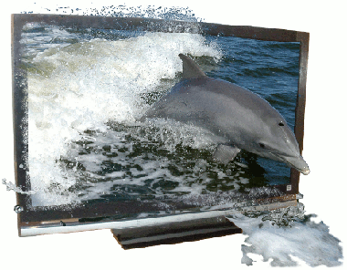 An interpretation of a 3D image displayed on a 2D monitor portraying a dolphin jumping out of the water and TV screen into your living room